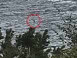 Another Nessie sighting! 12-year-old girl says she also spotted Loch Ness monster in 2018 - and has the picture to prove it