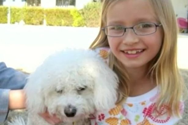 Dog called Minion returns to stunned family after going missing for 12 YEARS