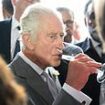 When in Bordeaux...King Charles samples local red wine and tucks in to cheese platter after he and Queen Camilla were greeted with huge cheers by crowd waving Union flags as they arrived in the French city for last day of state visit