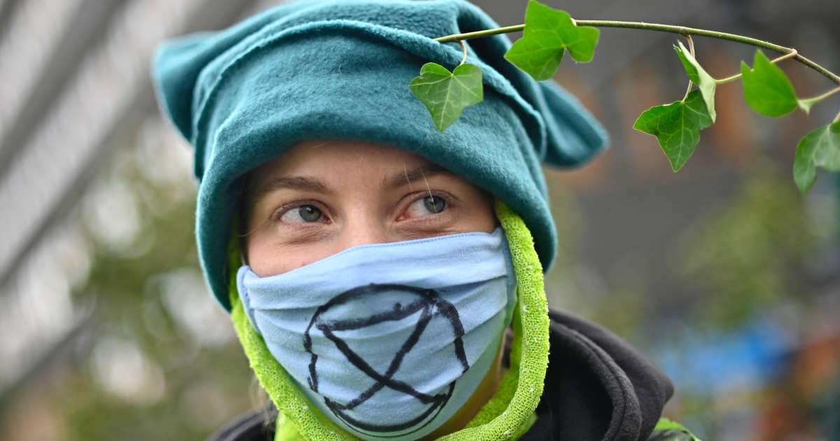 Le Bourget : contre les jets privés, des militants écolos s’introduisent à l’aéroport et y plantent des arbres