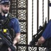 Mordanklage gegen Kollegen: Dutzende Londoner Polizisten geben Waffenscheine ab