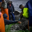"C'est une tradition": Le Portugal fier de sa pêche à la sardine