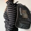 Eine Frau trägt einen Katzenrucksack