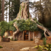 Sur Airbnb, la « vraie » maison de Shrek est en location (ou du moins sa copie presque parfaite)