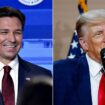 DeSantis suggests one-on-one debate with Trump: 'You owe it to the voters'