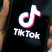 Ein Tiktok-Logo auf einem Smartphonebildschirm