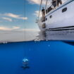 En mer avec le WWF, pour sauver les cétacés de Méditerranée