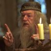 Michael Gambon, Dumbledore dans “Harry Potter”, est mort