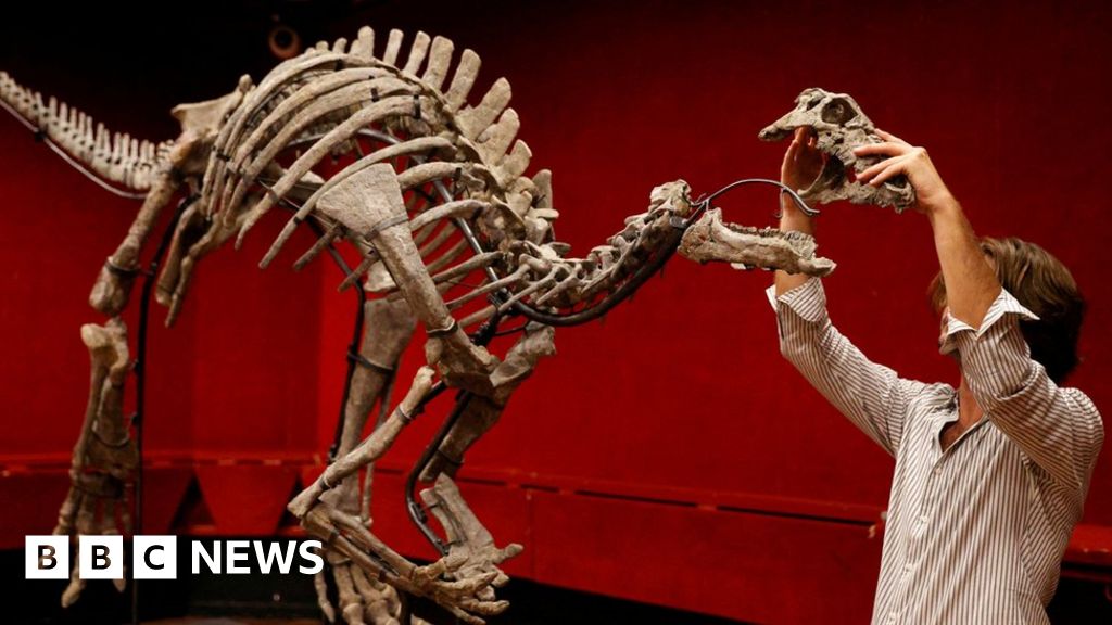 A auction house employee reconstructs the skeleton of the adult dinosaur Barry