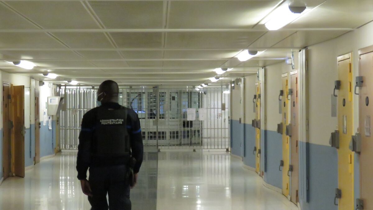 Strasbourg : une jeune femme retrouvée mutilée, un homme mis en examen pour viol avec actes de torture