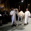 Sacré dromadaire !: Des centaines d'animaux bénis à la cathédrale de New York