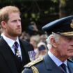 Prince Harry rift is 'not King Charles' top priority as other issues must be put first'