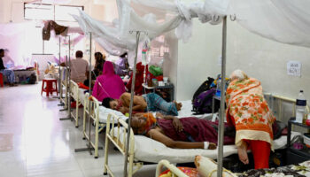 Le Bangladesh frappé par sa pire épidémie de dengue, plus de 1 000 morts depuis le début de l’année