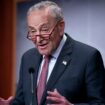 Protesters arrested outside Schumer's NYC apartment as he has Shabbat dinner with family ahead of Israel trip