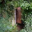 Hidden doorway leading to underground World War II bunker found in overgrown field