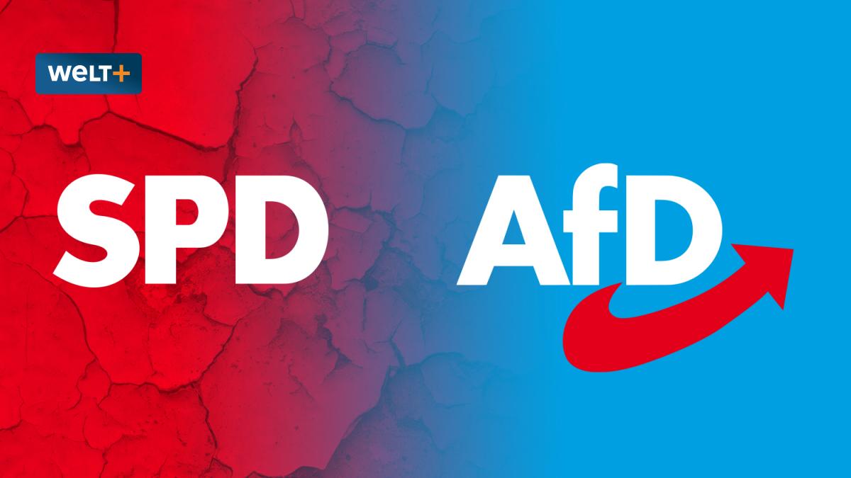 Wenn die SPD die soziale Gerechtigkeit der AfD überlässt
