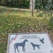À Carrières-sous-Poissy, les animaux auront leur colombarium dans le parc de la mairie