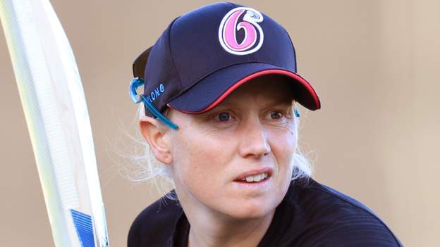 Alyssa Healy: Sydney Sixers star injured hand separating dog fight at her home
