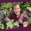 Concours des vins d’Île-de-France : à Chelles, Pierric Petit, l’artisan redonne des couleurs au vignoble médiéval