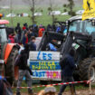 Poitou-Charentes : deux projets de mégabassines annulés par la justice