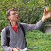 Profession pomologue : sa mission, sauver les variétés de fruits rares du Gâtinais français