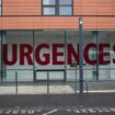 Punaises de lit : Un patient en aperçoit aux urgences du CHU de Toulouse et les filme