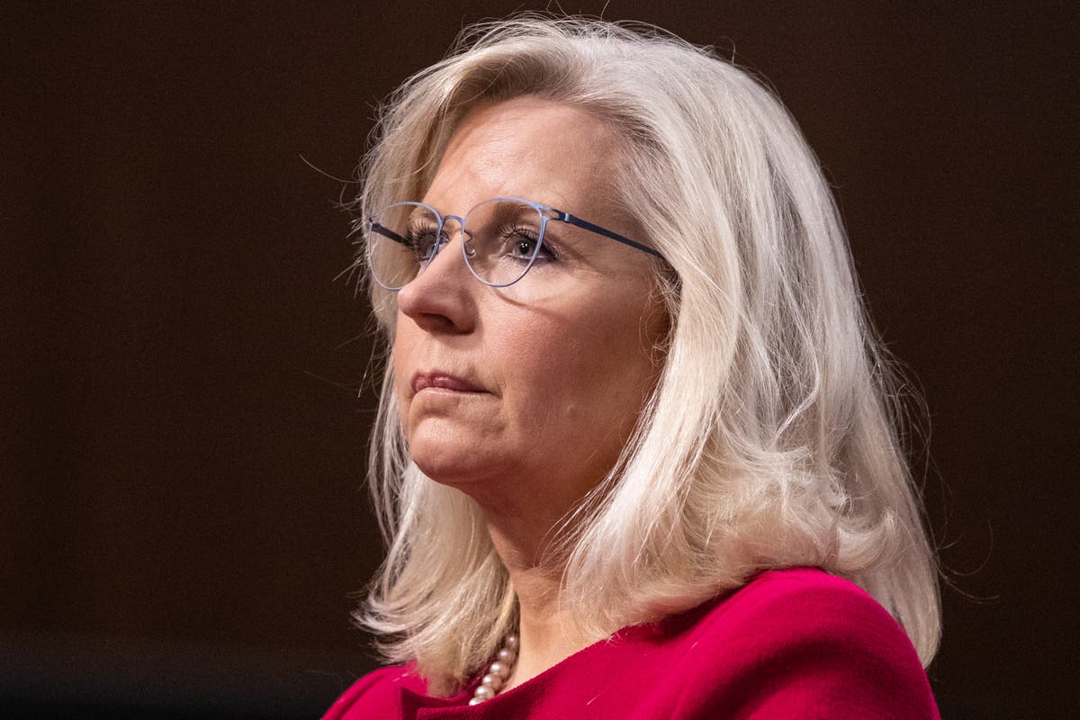 Liz Cheney chides GOP senator for promoting latest Jan 6 conspiracy: ‘You’re a lawyer Mike’