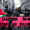 Londres: Nouvelle manifestation d'ampleur en soutien aux Palestiniens