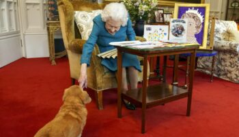 Queen Elizabeth II. streichelt von einem Sessel aus einen ihrer Corgis