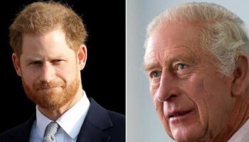 Prince Harry's 'cold, awkward' phone call with King Charles after months of silence