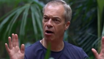 I’m a Celebrity – live: Nella Rose ‘saddened and disappointed’ by Nigel Farage cultural appropriation comments