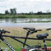 Loire à vélo et Scandibérique : devant le succès des véloroutes, le Loiret voit plus loin