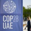 Crainte d'un "fiasco" à Dubaï: La COP28 débute au pays des pétrodollars