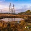 'It's not over yet... No one deserves this on their doorstep': Furious locals slam plans for MEGA-PYLONS that will 'change the face of the stunning Scottish countryside forever'