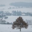 Ein Laubbaum steht zwischen schneebedeckten Feldern am Ortsrand des Dorfes Königshain in der Lausitz. Foto: Paul Glaser/dpa