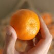 Fünf Tipps: So erkennen Sie, ob Mandarinen noch frisch sind