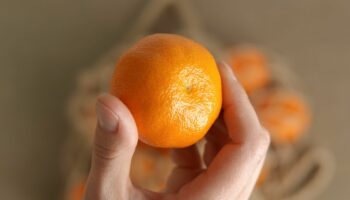 Fünf Tipps: So erkennen Sie, ob Mandarinen noch frisch sind