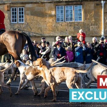 Fears mount fox hunting could be back on the agenda as desperate Tories court grass roots
