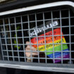 A Moscou, plusieurs descentes policières ont eu lieu dans des clubs LGBT