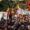 Erneut Protest gegen Amnestie für Separatisten in Spanien