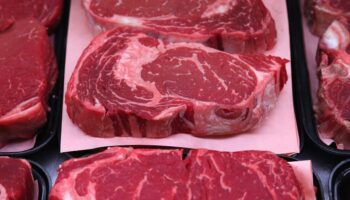 Nouvelle étude: Réduire de 50% la consommation de viande permettrait d'atteindre les objectifs climatiques