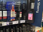 Facial recognition, scanning a loyalty card and using a touchscreen: The steps Sainsbury's shoppers could face to buy bottles of alcohol as the store trials new AI security cabinets