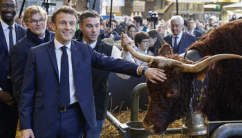 Emmanuel Macron face aux agriculteurs : comment faire converger des intérêts contradictoires ?