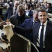 Le président français Emmanuel Macron au Salon de l'Agriculture, le 24 février 2024 à Paris