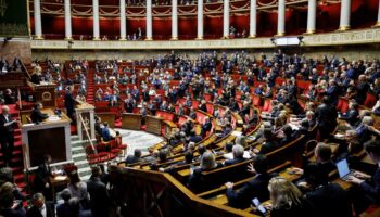 Frankreich: Senat stimmt für Aufnahme von Schwangerschaftsabbrüchen in Verfassung