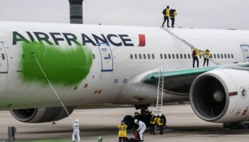 Avion repeint en vert à Roissy : les activistes de Greenpeace interdits de paraître dans deux aéroports