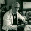Le coup de chance d'Alexander Fleming, ou la découverte accidentelle de la pénicilline