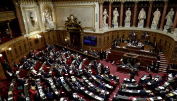 France: Déjà appliqué, le traité Ceta rejeté par les sénateurs