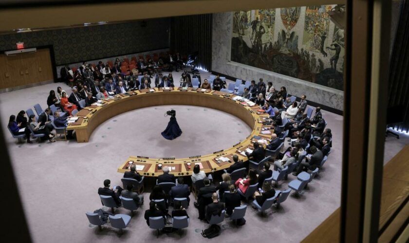 Israel-Gaza-Krieg: UN-Sicherheitsrat fordert Waffenruhe in Gaza
