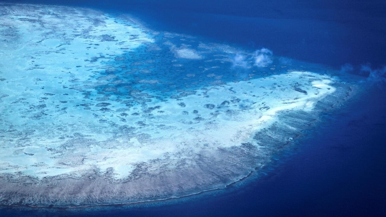 Australie : la Grande barrière de corail n'a jamais autant blanchi